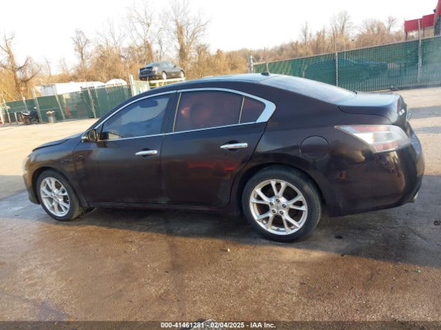 1N4AA5AP6EC491860 Nissan Maxima 3.5 Sv