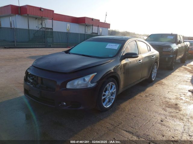 1N4AA5AP6EC491860 Nissan Maxima 3.5 Sv