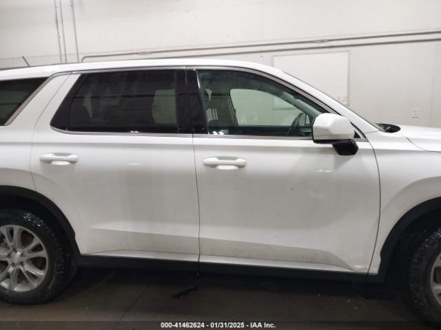 KM8R1DHE8MU206303 Hyundai Palisade Se