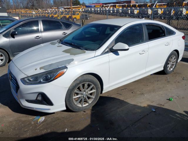 5NPE24AF4JH606920 Hyundai SONATA SE