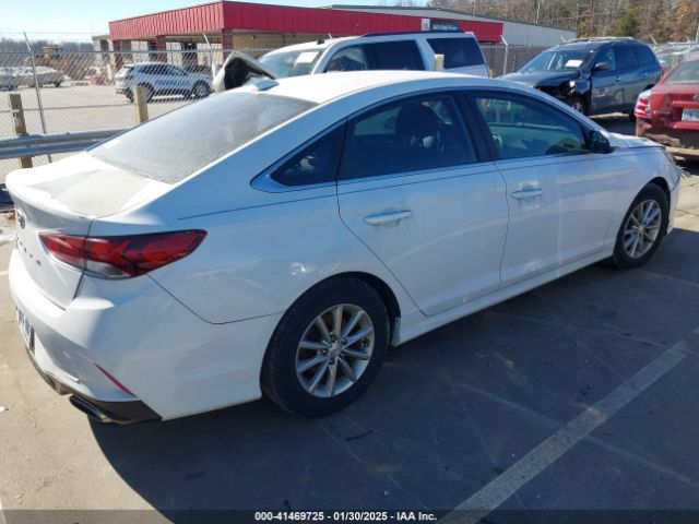 5NPE24AF4JH606920 Hyundai SONATA SE