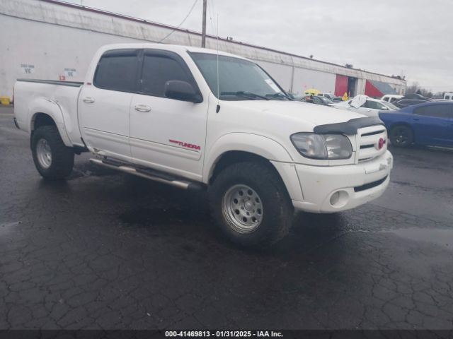 2005 TOYOTA TUNDRA 5TBDT44135S487713