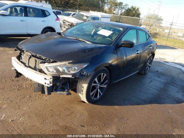 1N4AA6AP8HC455789 Nissan Maxima 3.5 S