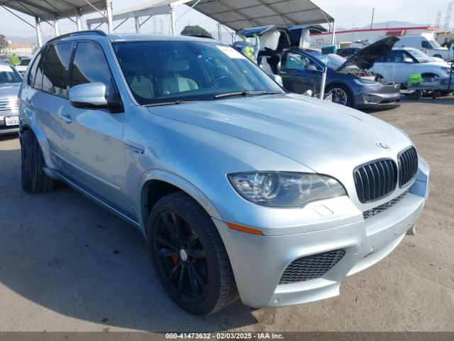 2010 BMW X5 M 5YMGY0C57ALK25120