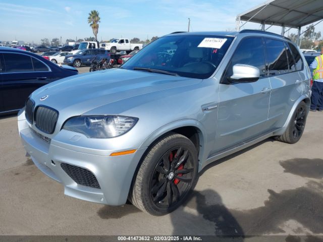 2010 BMW X5 M 5YMGY0C57ALK25120 Photo 1