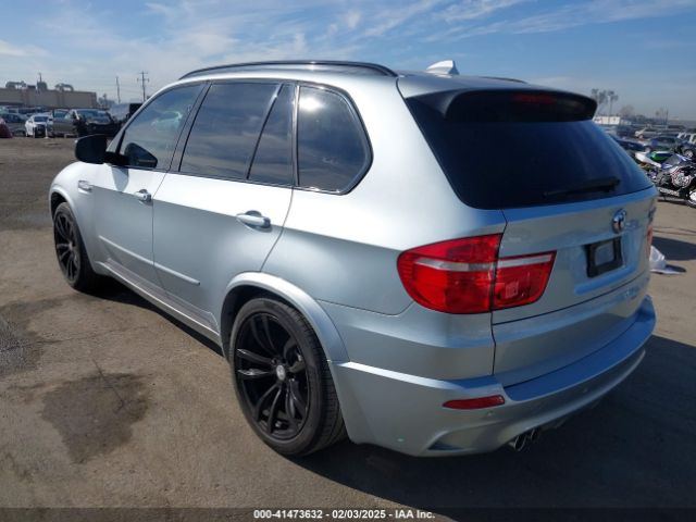 2010 BMW X5 M 5YMGY0C57ALK25120 Photo 2