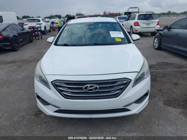 5NPE24AF9HH521338 Hyundai Sonata