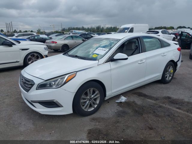 5NPE24AF9HH521338 Hyundai Sonata