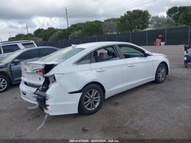 5NPE24AF9HH521338 Hyundai Sonata