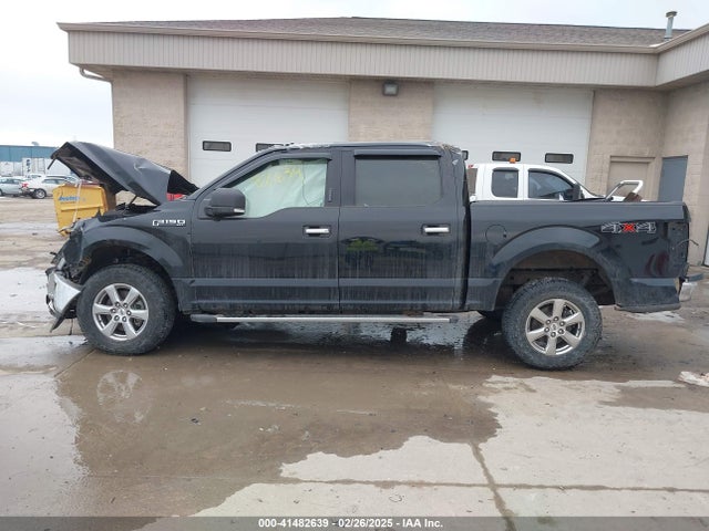 Ford F-150 Xlt 2019 1FTEW1EP0KKE06920 Image 14