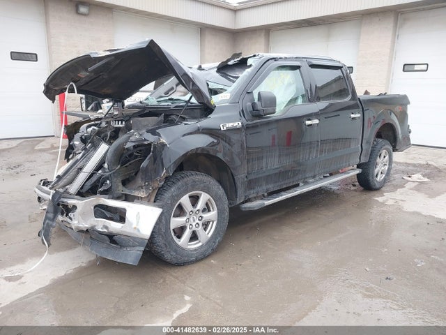 Ford F-150 Xlt 2019 1FTEW1EP0KKE06920 Image 2