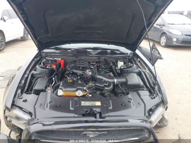 1ZVBP8AM0E5258935 Ford Mustang V6