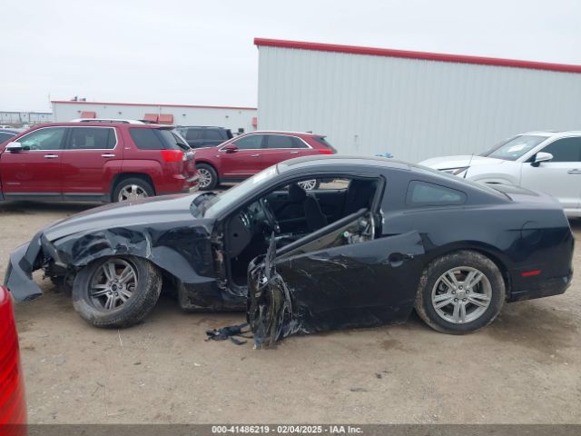 1ZVBP8AM0E5258935 Ford Mustang V6