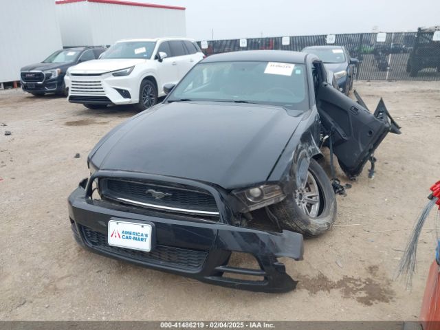 1ZVBP8AM0E5258935 Ford Mustang V6