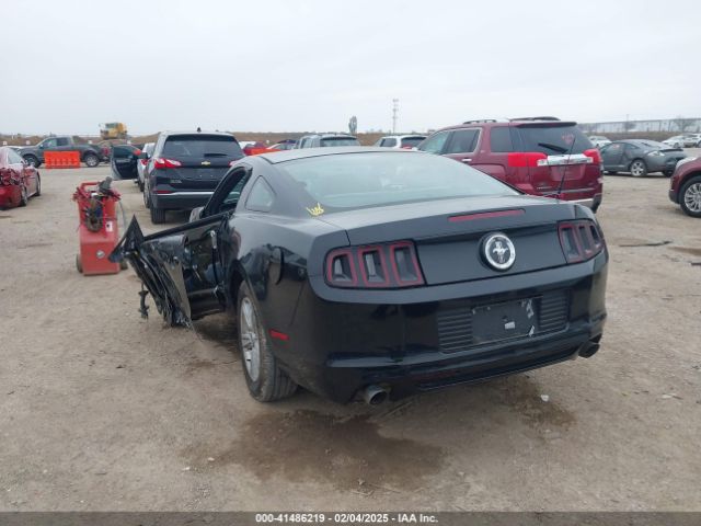 1ZVBP8AM0E5258935 Ford Mustang V6