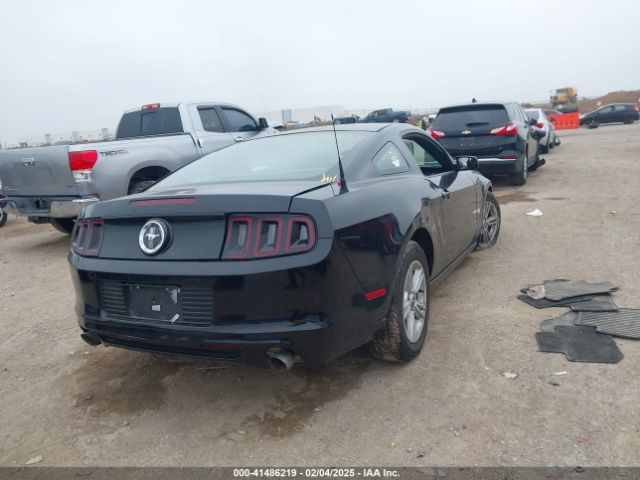 1ZVBP8AM0E5258935 Ford Mustang V6