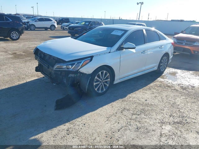 5NPE34AF7GH307346 Hyundai Sonata Limited