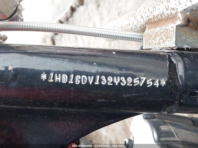 2002 HARLEY-DAVIDSON FXDL 1HD1GDV132Y325754 Photo 8