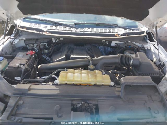 1FTEW1E46LFA76636 Ford F-150 Xlt