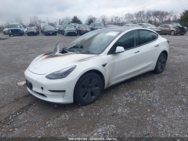 2023 TESLA MODEL 3 5YJ3E1EA6PF698387 Photo 1