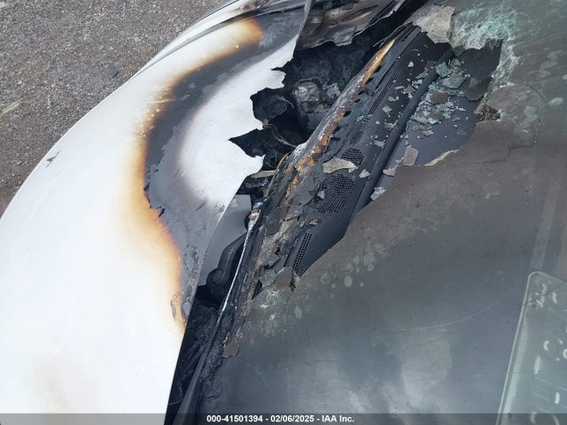 2023 TESLA MODEL 3 5YJ3E1EA6PF698387 Photo 5