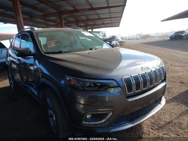 2019 JEEP CHEROKEE 1C4PJMDX3KD132966