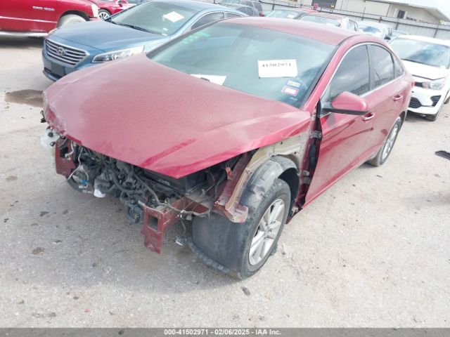 5NPE24AFXGH395814 Hyundai Sonata