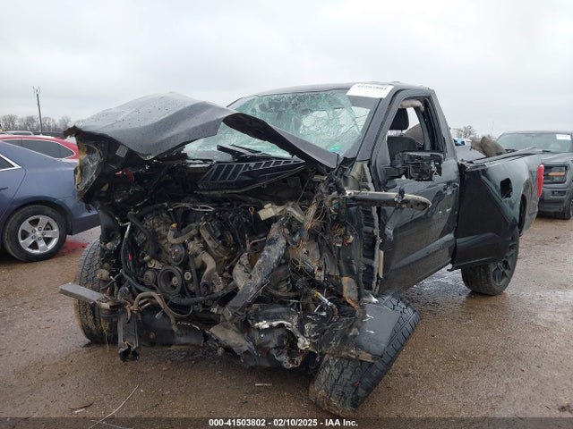 1FTMF1E50MKD46067 Ford F-150 Xlt