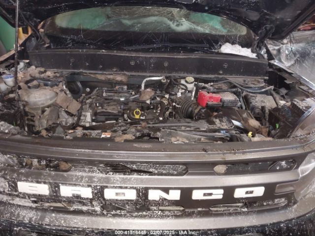 3FMCR9B69NRD34040 Ford dragon