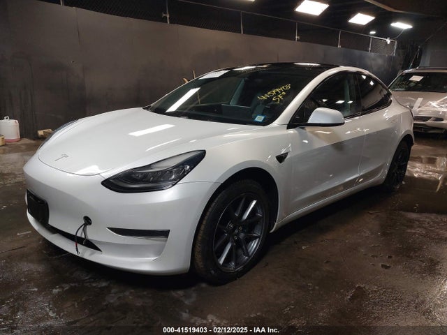 2019 TESLA MODEL 3 5YJ3E1EA3KF482909 Photo 1