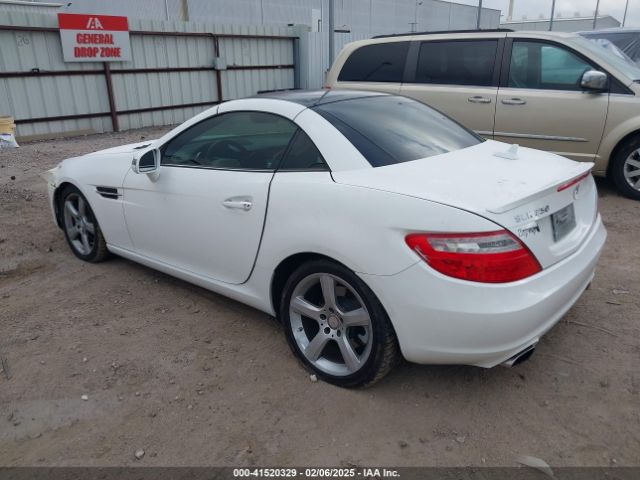2014 MERCEDES-BENZ SLK 250 WDDPK4HA7EF081313 Photo 2