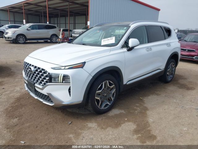KM8S3DA15NU034056 Hyundai Santa Fe Hybrid Sel Premium