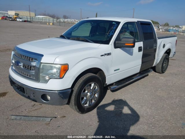 1FTFW1CT3EKF45786 Ford F-150 Xlt