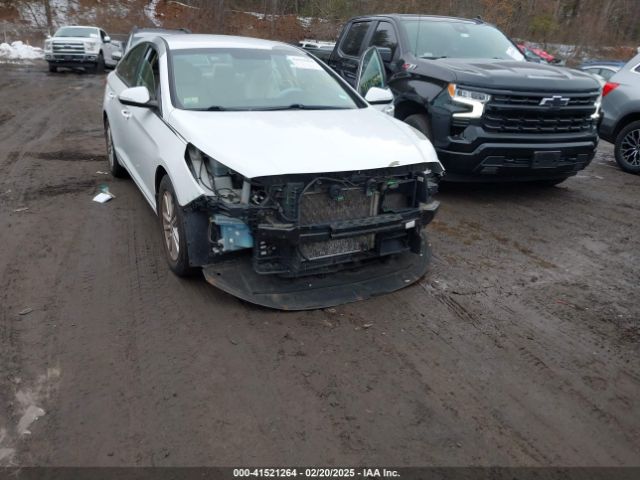 5NPE24AA7GH416557 Hyundai SONATA ECO