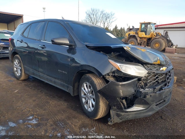 Chevrolet EQUINOX LS 2018 2GNAXHEV0J6317747 Image 1