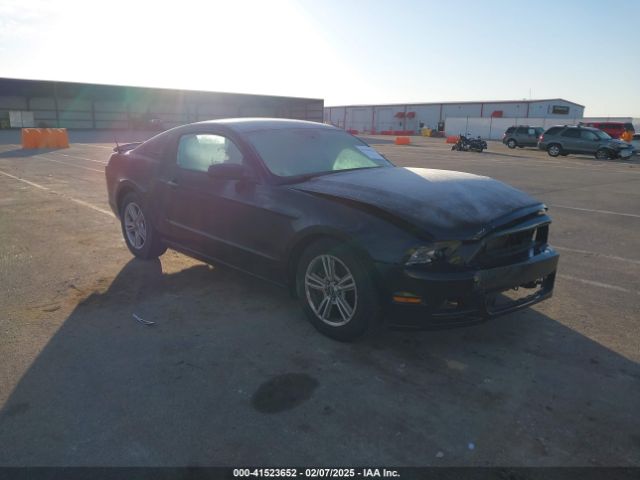 2014 FORD MUSTANG 1ZVBP8AM4E5262440