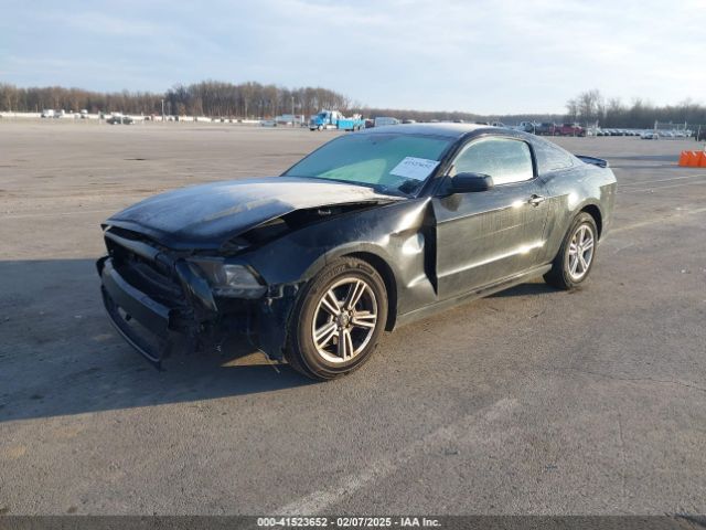 2014 FORD MUSTANG 1ZVBP8AM4E5262440 Photo 1