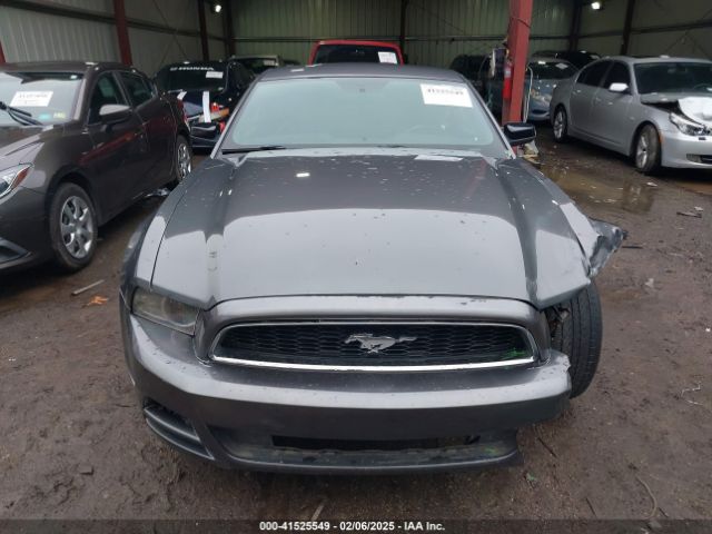 1ZVBP8AM6E5334433 Ford Mustang V6