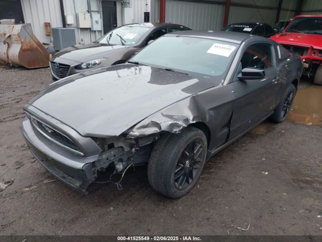 1ZVBP8AM6E5334433 Ford Mustang V6