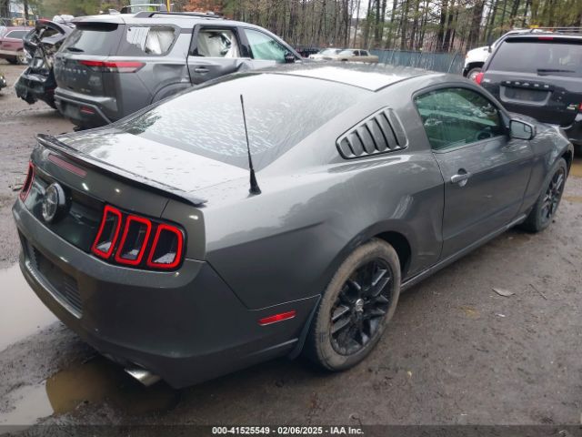 1ZVBP8AM6E5334433 Ford Mustang V6