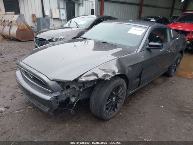 1ZVBP8AM6E5334433 Ford Mustang V6