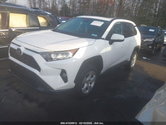 2T3P1RFV7KC034696 Toyota Rav4 Xle