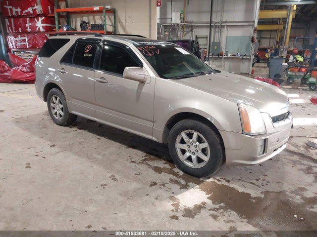 2006 CADILLAC SRX 1GYEE637260192754 Photo 0