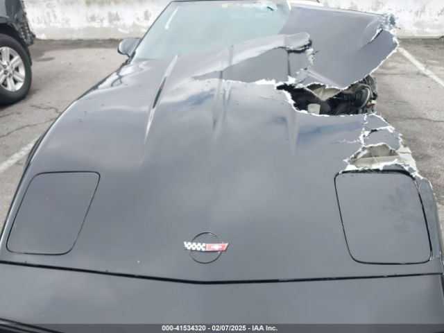 1989 CHEVROLET CORVETTE 1G1YY3183K5103526 Photo 9