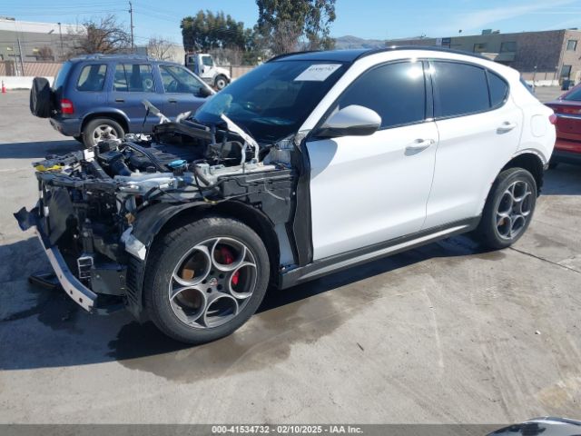 2019 ALFA ROMEO STELVIO ZASPAKBN1K7C36934 Photo 1