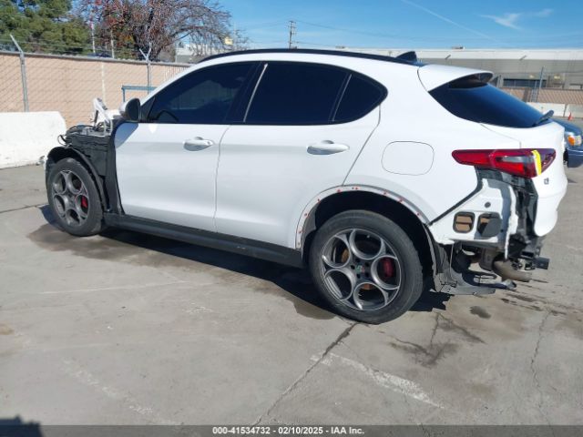 2019 ALFA ROMEO STELVIO ZASPAKBN1K7C36934 Photo 2