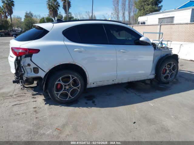 2019 ALFA ROMEO STELVIO ZASPAKBN1K7C36934 Photo 3
