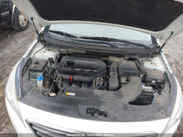 5NPE24AFXHH502166 Hyundai Sonata