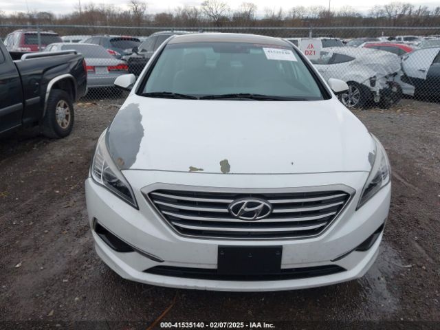 5NPE24AFXHH502166 Hyundai Sonata