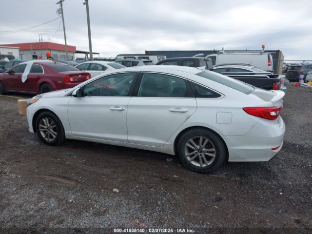 5NPE24AFXHH502166 Hyundai Sonata